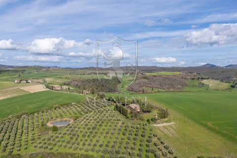 Landejendom i Pienza, Siena, Pienza - € 1.950.000 | Ref: 404 - foto 6