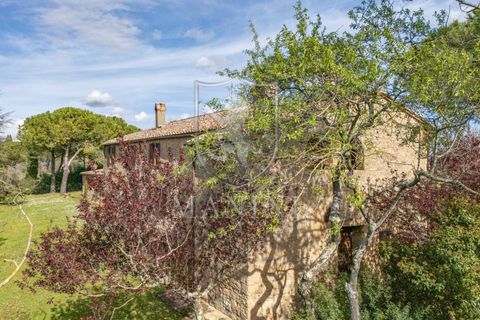 Landejendom i Pienza, Siena, Pienza - € 1.950.000 | Ref: 404 - foto 12