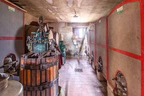 Landejendom i Pienza, Siena, Pienza - € 1.950.000 | Ref: 404 - foto 17