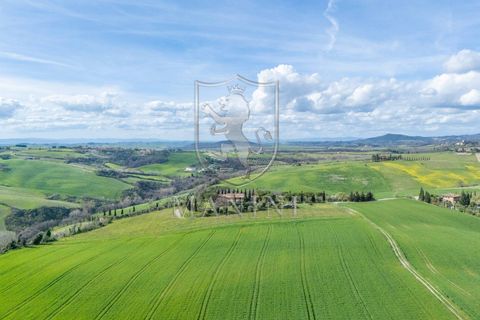 Landejendom i Pienza, Siena, Pienza - € 1.950.000 | Ref: 404 - foto 38
