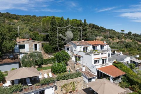 Villa i Monte Argentario, Grosseto, Monte Argentario - € 1.700.000 | Ref: 425 - foto 7