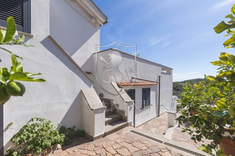 Villa i Monte Argentario, Grosseto, Monte Argentario - € 1.700.000 | Ref: 425 - foto 32