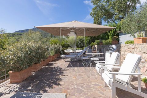 Villa i Monte Argentario, Grosseto, Monte Argentario - € 1.700.000 | Ref: 425 - foto 33