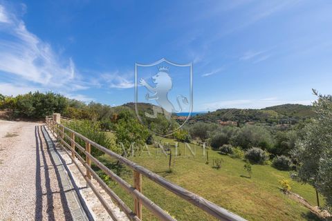 Villa i Monte Argentario, Grosseto, Monte Argentario - € 1.700.000 | Ref: 425 - foto 40