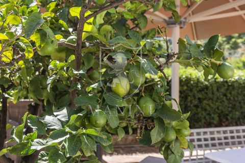 Villa i Monte Argentario, Grosseto, Monte Argentario - € 1.700.000 | Ref: 425 - foto 42