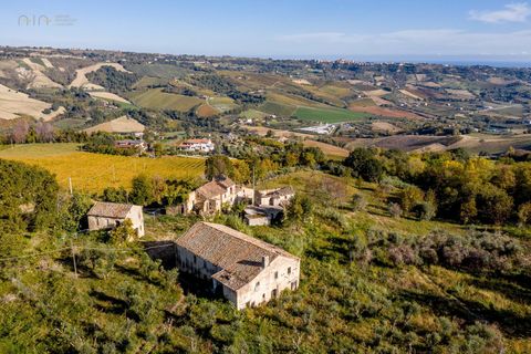 Landejendom i Ripatransone, Ascoli Piceno, Ripatransone - € 425.000 | Ref: 17157 - foto 3