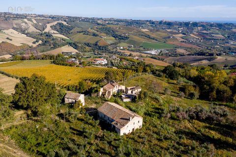Landejendom i Ripatransone, Ascoli Piceno, Ripatransone - € 425.000 | Ref: 17157 - foto 4