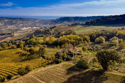 Landejendom i Ripatransone, Ascoli Piceno, Ripatransone - € 425.000 | Ref: 17157 - foto 6
