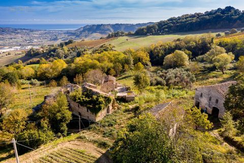 Landejendom i Ripatransone, Ascoli Piceno, Ripatransone - € 425.000 | Ref: 17157 - foto 10