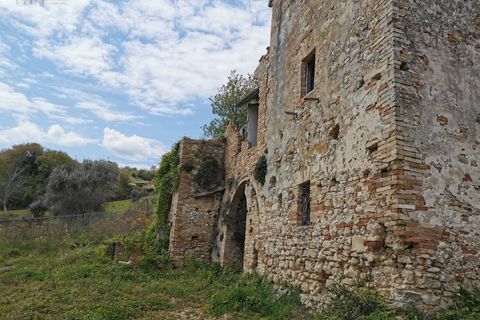 Landejendom i Ripatransone, Ascoli Piceno, Ripatransone - € 425.000 | Ref: 17157 - foto 14