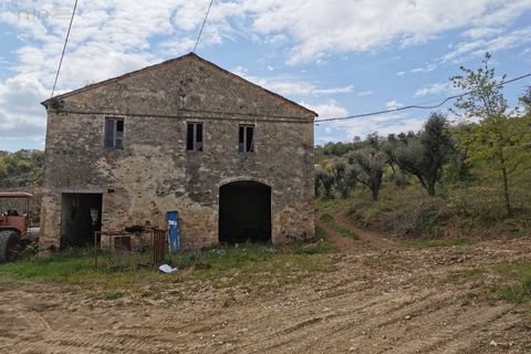 Landejendom i Ripatransone, Ascoli Piceno, Ripatransone - € 425.000 | Ref: 17157 - foto 18