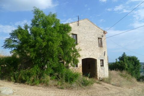 Landejendom i Ripatransone, Ascoli Piceno, Ripatransone - € 425.000 | Ref: 17157 - foto 21