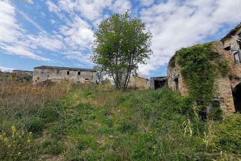 Landejendom i Ripatransone, Ascoli Piceno, Ripatransone - € 425.000 | Ref: 17157 - foto 24