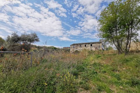 Landejendom i Ripatransone, Ascoli Piceno, Ripatransone - € 425.000 | Ref: 17157 - foto 31