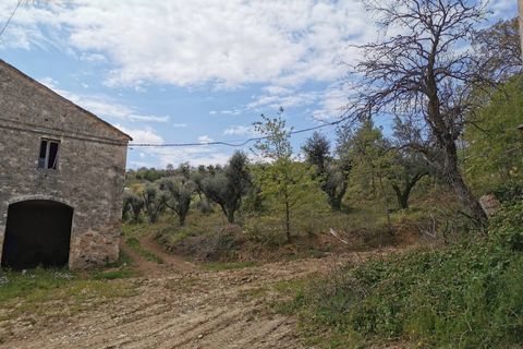 Landejendom i Ripatransone, Ascoli Piceno, Ripatransone - € 425.000 | Ref: 17157 - foto 33