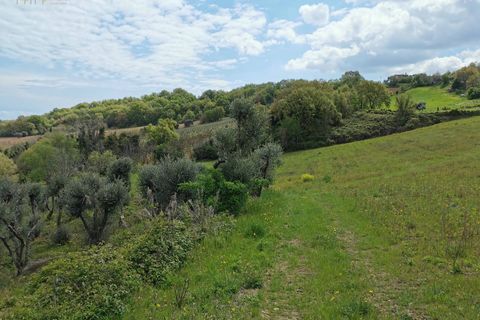 Landejendom i Ripatransone, Ascoli Piceno, Ripatransone - € 425.000 | Ref: 17157 - foto 35