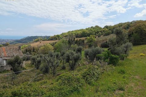 Landejendom i Ripatransone, Ascoli Piceno, Ripatransone - € 425.000 | Ref: 17157 - foto 36