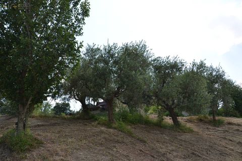 Landejendom i Castignano, Ascoli Piceno, Castignano - € 98.000 | Ref: 28235 - foto 19