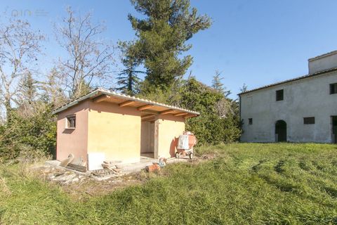 Landejendom i Fermo, Fermo, Fermo - € 460.000 | Ref: 31485 - foto 14