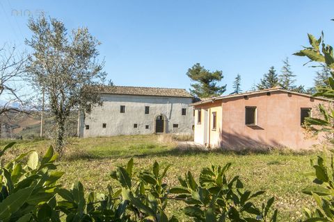 Landejendom i Fermo, Fermo, Fermo - € 460.000 | Ref: 31485 - foto 18