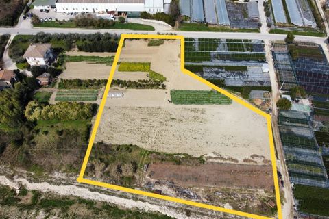 Helårsgrund i Ripatransone, Ascoli Piceno, Ripatransone - € 125.000 | Ref: 31547 - foto 1