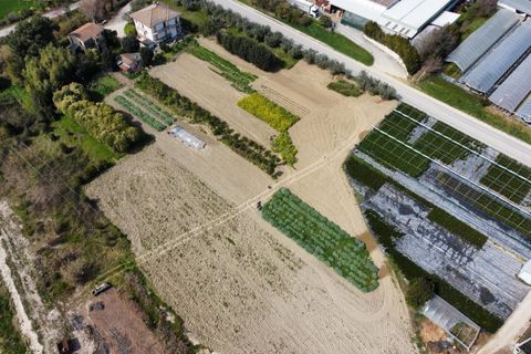 Helårsgrund i Ripatransone, Ascoli Piceno, Ripatransone - € 125.000 | Ref: 31547 - foto 3
