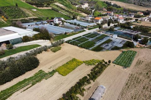 Helårsgrund i Ripatransone, Ascoli Piceno, Ripatransone - € 125.000 | Ref: 31547 - foto 4