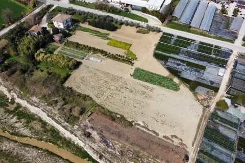 Helårsgrund i Ripatransone, Ascoli Piceno, Ripatransone - € 125.000 | Ref: 31547 - foto 5