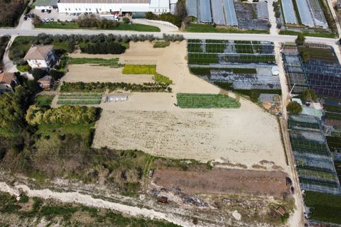 Helårsgrund i Ripatransone, Ascoli Piceno, Ripatransone - € 125.000 | Ref: 31547 - foto 7