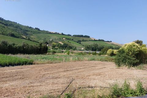 Helårsgrund i Ripatransone, Ascoli Piceno, Ripatransone - € 125.000 | Ref: 31547 - foto 8