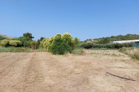 Helårsgrund i Ripatransone, Ascoli Piceno, Ripatransone - € 125.000 | Ref: 31547 - foto 9
