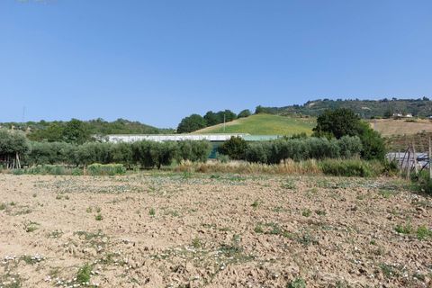 Helårsgrund i Ripatransone, Ascoli Piceno, Ripatransone - € 125.000 | Ref: 31547 - foto 11