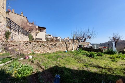 Villa i Ripatransone, Ascoli Piceno, Ripatransone - € 65.000 | Ref: 32060 - foto 16