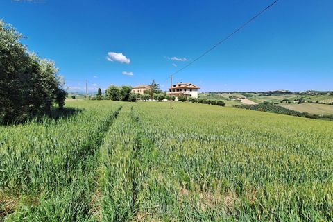 Helårsgrund i Ripatransone, Ascoli Piceno, Ripatransone - € 148.000 | Ref: 32857 - foto 6