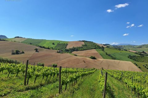Helårsgrund i Ripatransone, Ascoli Piceno, Ripatransone - € 148.000 | Ref: 32857 - foto 8