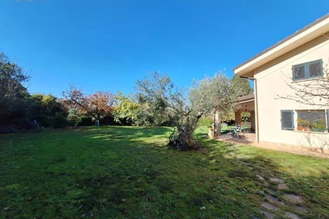 Landejendom i Ripatransone, Ascoli Piceno, Ripatransone - € 495.000 | Ref: 33184 - foto 4