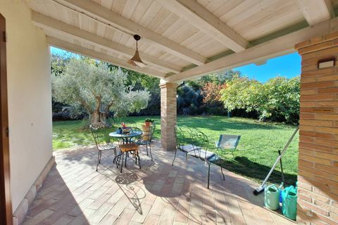 Landejendom i Ripatransone, Ascoli Piceno, Ripatransone - € 495.000 | Ref: 33184 - foto 12
