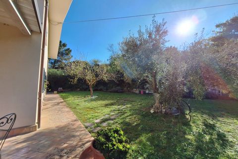 Landejendom i Ripatransone, Ascoli Piceno, Ripatransone - € 495.000 | Ref: 33184 - foto 14