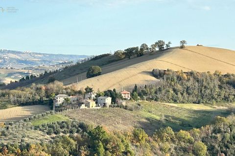 Landejendom i Castignano, Ascoli Piceno, Castignano - € 98.000 | Ref: 33195 - foto 7