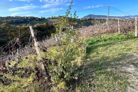 Landejendom i Castignano, Ascoli Piceno, Castignano - € 98.000 | Ref: 33195 - foto 18