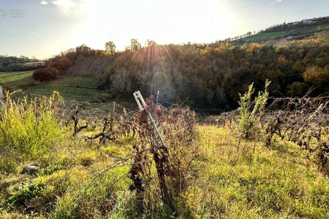 Landejendom i Castignano, Ascoli Piceno, Castignano - € 98.000 | Ref: 33195 - foto 19