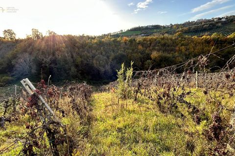 Landejendom i Castignano, Ascoli Piceno, Castignano - € 98.000 | Ref: 33195 - foto 20
