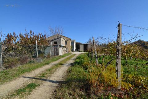 Landejendom i Castignano, Ascoli Piceno, Castignano - € 98.000 | Ref: 33195 - foto 28