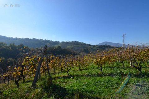 Landejendom i Castignano, Ascoli Piceno, Castignano - € 98.000 | Ref: 33195 - foto 32