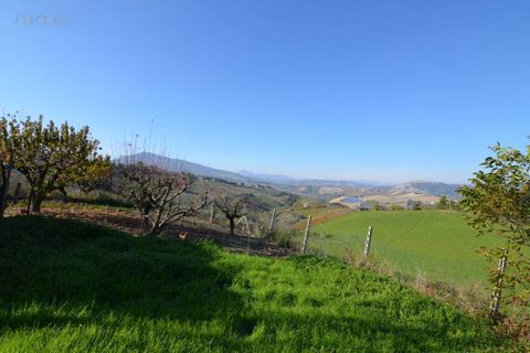 Landejendom i Castignano, Ascoli Piceno, Castignano - € 98.000 | Ref: 33195 - foto 35