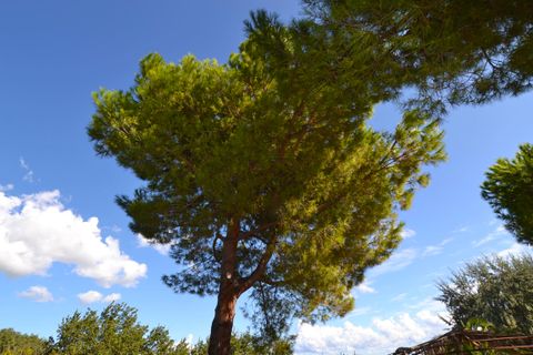 Villa i Colonnella, Teramo, Colonnella - € 750.000 | Ref: 17764 - foto 40