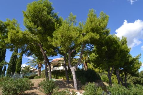 Villa i Colonnella, Teramo, Colonnella - € 750.000 | Ref: 17764 - foto 41