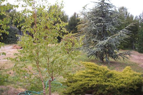 Villa a Grottammare, Ascoli Piceno, Grottammare - € 535.000 | Ref: 29794 - foto 37