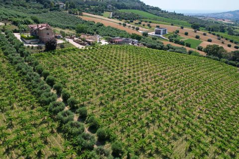 Villa i Colonnella, Teramo, Colonnella - € 295.000 | Ref: 32278 - foto 38