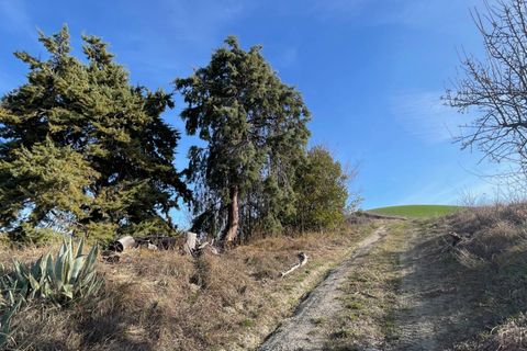 Landejendom i Ripatransone, Ascoli Piceno, Ripatransone - € 160.000 | Ref: 32675 - foto 15